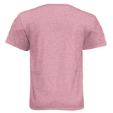 Wooty Fly Cosmic-Tee — Heather Light Pink graphic tee, back view